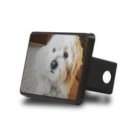 Votre photo préférée