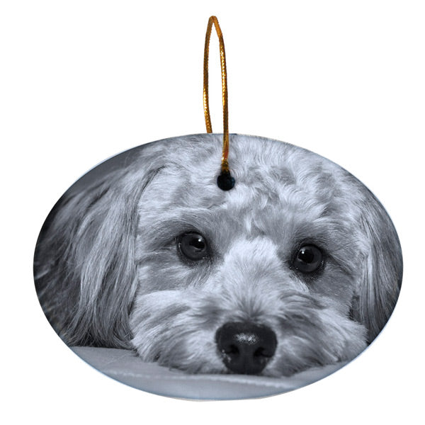 predefined_sublimation-ornaments-porcelain-oval-land_600x600.jpg predefined_sublimation-ornaments-porcelain-oval-land_600x600.jpg