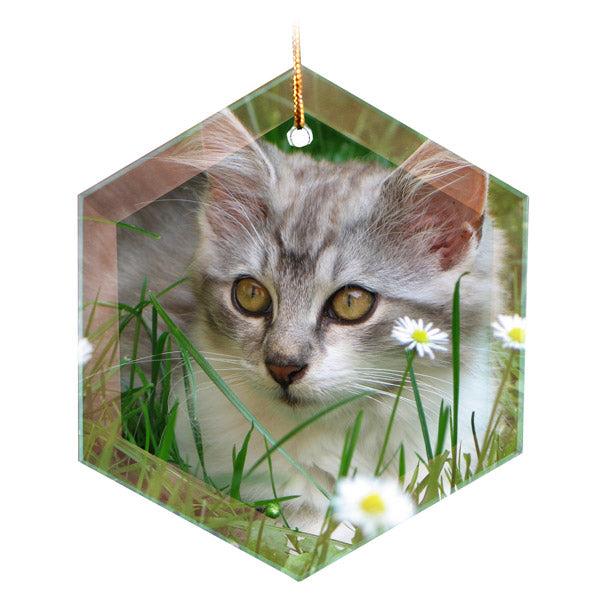 Sublimation Blank Hexagon Glass Ornaments 2