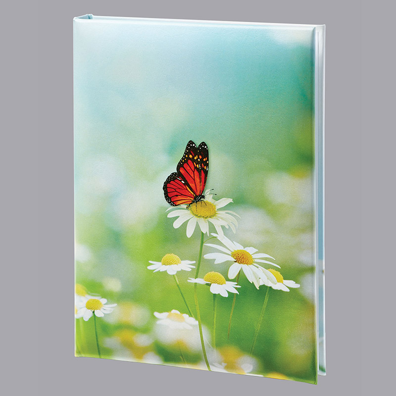 Butterfly in Flight Box Set