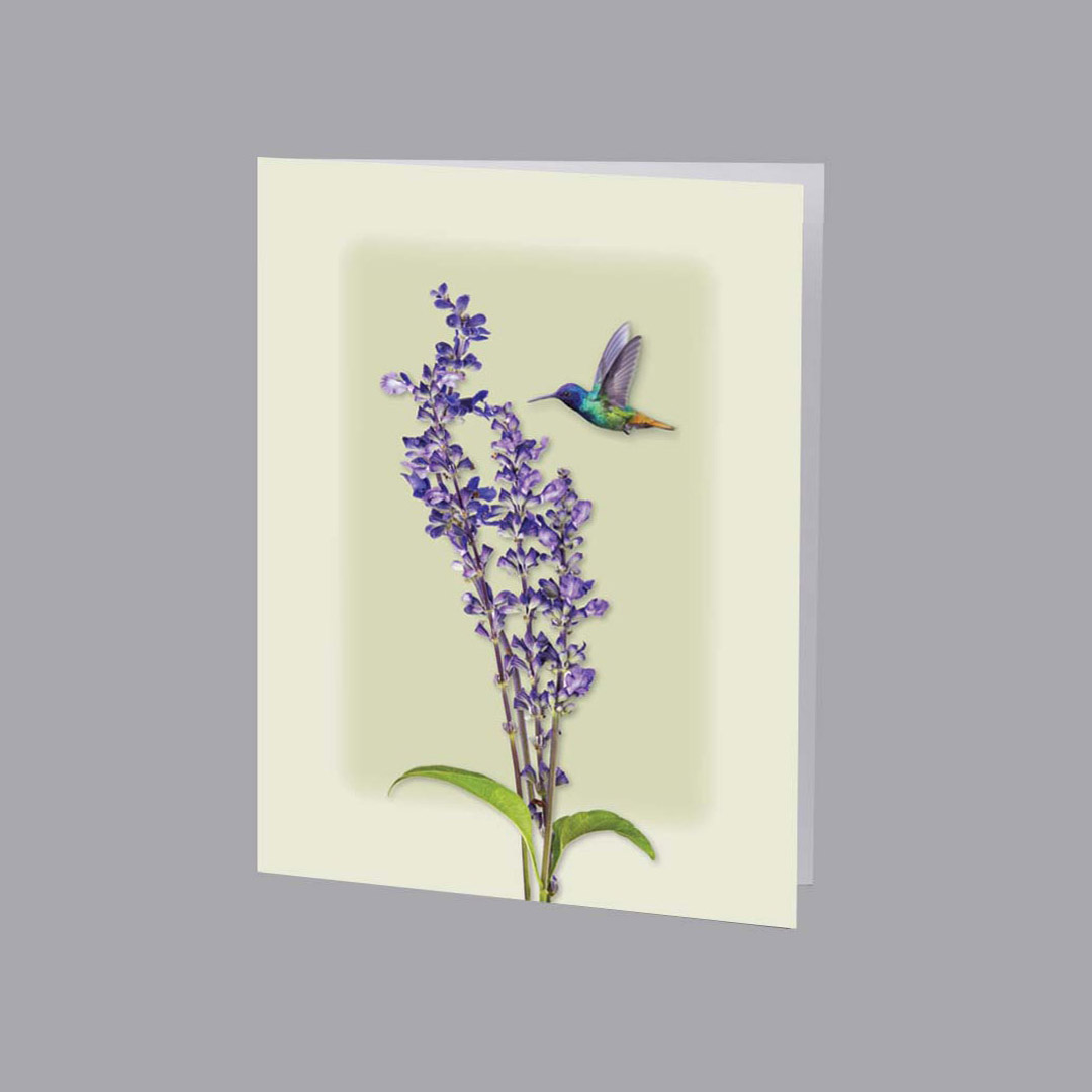 Hummingbird Service Record / Memorial Folder