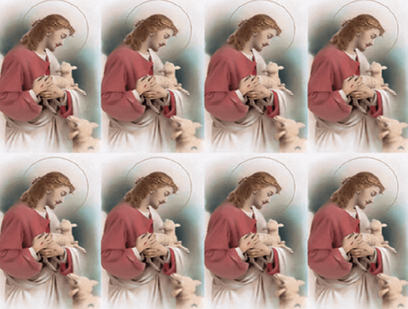 Lost Lamb, Good Shepherd Series 8-up Prayer Cards